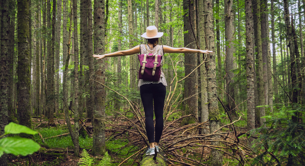 The Healing Power of Forest Bathing: Finding Inner Peace Among Trees