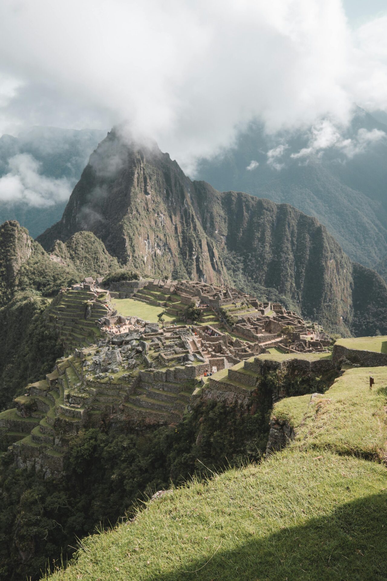 Spirit Animals and Power Journeys in South American Vision Quests